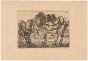 Man voert een paard uit een emmer