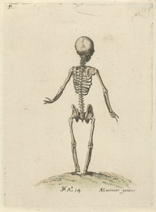 Skelet, van achter gezien door Pieter Feddes van Harlingen