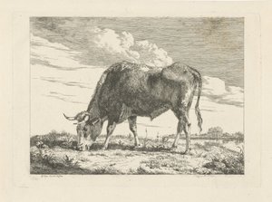 Grazende koe door Pieter Gerardus van Os