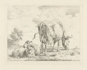 Koe met twee schapen