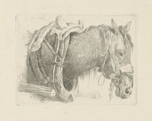 Studie van een paardenkop