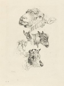 Studieblad met schaap-, paard-, ezel-, ram- en stierenkop