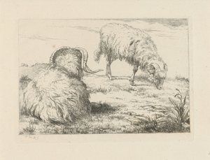 Twee rammen in de weide Schapen en geiten (serie) door Pieter Gerardus van Os
