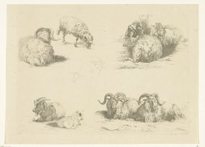Vier voorstellingen met schapen en geiten