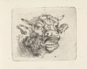 Koeienkop, loeiend door Pieter Janson