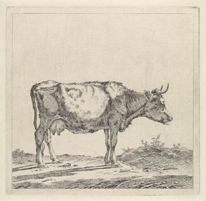 Landschap met koe aan waterkant