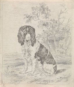 Zittende patrijshond