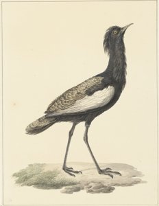 Baardtrap door Pieter Pietersz. Barbiers