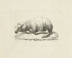 Liggend schaap door Pieter Roosing