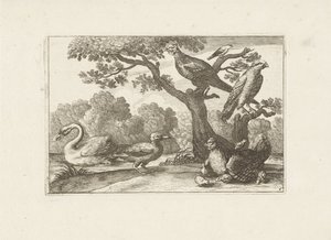 Kip met kuikens en andere vogels door Pieter Schenk (I) (attributed to)