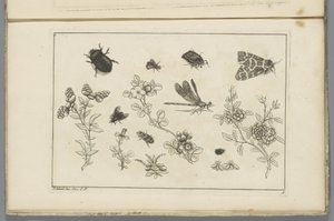 Bloementakken met insecten door Pieter Schenk (II)
