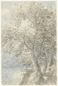 Bomen bij steile rotswand