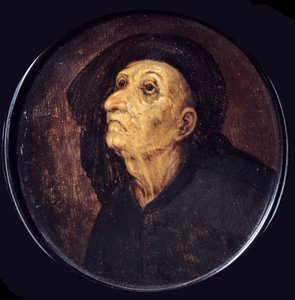 Hoofd van oude man ook wel de Afgunst door Pieter Bruegel the Elder