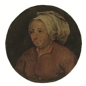 Hoofd van een vrouw (olieverf op paneel) door Pieter the Younger Brueghel