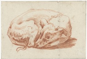 Liggende hond