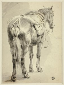 Zadelpaard door Pieter van Bloemen