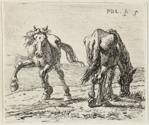German: Zwei Pferde auf einer Weide
French: Les deux chevaux au pâturage
Dutch: Twee paarden in een weide