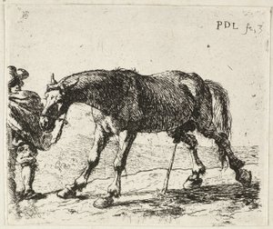 Plassend paard