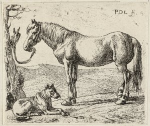 Het paard en de hond