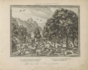 Schepping van de mens door Pieter van der Borcht (I)