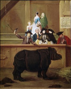 Neushoorn: tentoonstelling van Clara, Indische neushoorn
