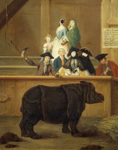 De tentoonstelling van de neushoorn door Pietro Longhi