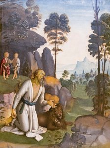 Sint Hiëronymus in boetedoening