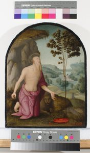 Sint Hiëronymus in de Wildernis door Pietro Perugino