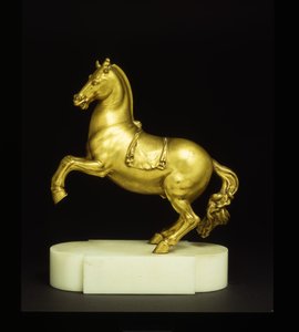 Steigerend paard