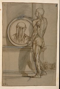 Ms Hunter 653 Plaat XVI, Anatomische tekening, c.1610 (potlood en krijt op papier) door Pietro da Cortona
