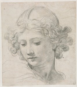 Studie voor het Hoofd van St. Michael door Pietro da Cortona