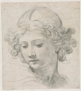 Studie voor het hoofd van St. Michael, 1633 door Pietro da Cortona