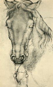 Hoofd van een paard door Antonio Pisanello