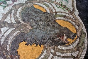 Vloer met een wild zwijn (mozaïek) door Portuguese School