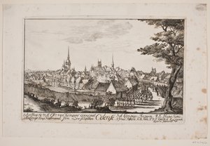 De intocht van Frederik V in Odense