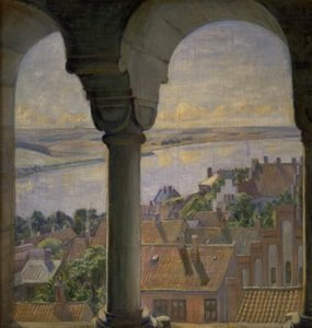 Uitzicht vanaf de toren van de kathedraal van Viborg