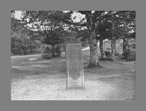 Rufus Steen, New Forest Hants, ca. 1900