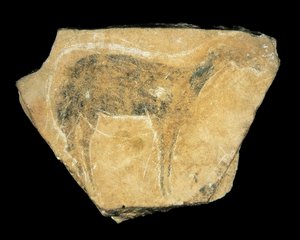Zwarte hinde, Parpallo Grot, Spanje, Boven-Paleolithicum