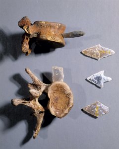 Vuursteen met prehistorisch bot in, Museum van Nationale Oudheden door Prehistoric Prehistoric