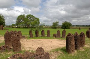 Prehistorie: Megalithische steencirkel van Wassu, Gambia