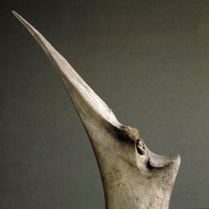 Prehistorie, Polada cultuur: punt van botten uit de Polada Tourbiere, Lonato. Bronstijd. Rome, Museo Nazionale Preistorico Etnografico Luigi Pigorini