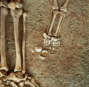 Prehistorie: dubbele begrafenis van volwassenen en kinderen. Detail van het grafgoed, bij de voeten van het kind, drie eekhoornstaarten, schelpen en stenen uit de Arene Candide grot (Finale Ligure), Ligurië. Mesolithicum, 7000-6000 v.Chr.