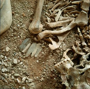 Prehistorie: dubbele begrafenis van volwassenen en kinderen (detail)