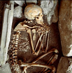 Prehistorie: vrouwelijk skelet uit de grot van de Candide Arene (Finale Ligure). Steentijd, Neolithicum. Genua, Museo di Archeologia Ligure door Prehistoric Prehistoric