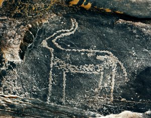 Prehistorie, rotstekeningen: grafrots met de voorstelling van een antilope