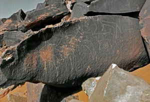 Prehistorie, rotstekeningen: grafrots met de voorstelling van vee