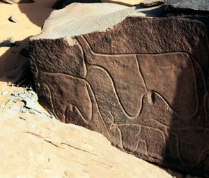 Prehistorie, rotstekeningen: grafrots met de voorstelling van vee. Tazina-stijl. Steentijd 5000-2000 v.Chr. Taghit, Hoog plateau van de Hoggar (Ahaggar), Algerije