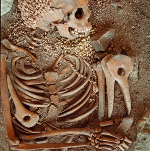 Prehistorie: skelet en grafgiften van tieners uit de grot van de Arene Candide (Finale Ligure): ketting van schelpen, hertshoorn en vuursteen. Steentijd, Boven-Paleolithicum. Genua, Museo di Archeologia Ligure