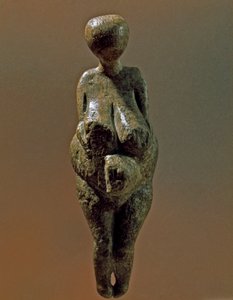 Prehistorie: standbeeld van Gravettiaanse vrouw van de site van Kostenki (Voronezh Oblast). 30000-25000 v.Chr. Boven-Paleolithicum, Steentijd. Sint-Petersburg, Peter de Grote Museum voor Antropologie en Etnografie, Rusland door Prehistoric Prehistoric