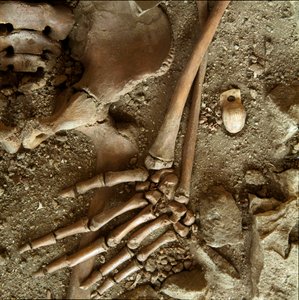 Prehistorie: tiener sepultuur. Detailweergave van het grafgeschenk uit de grot van Candid Arene (Finale Ligure), Ligurië. Boven-Paleolithicum, 24000 v.Chr. Genua, Museo di Archeologia Ligure